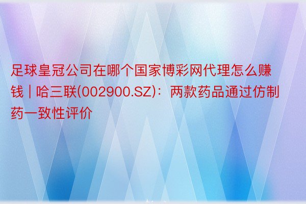 足球皇冠公司在哪个国家博彩网代理怎么赚钱 | 哈三联(002900.SZ)：两款药品通过仿制药一致性评价